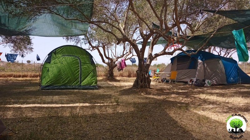 How a campsite is born and evolves - The cynical truth