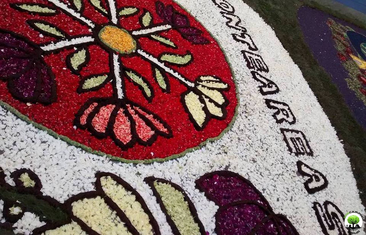 THE AURA OF INFIORATA OF NOTO