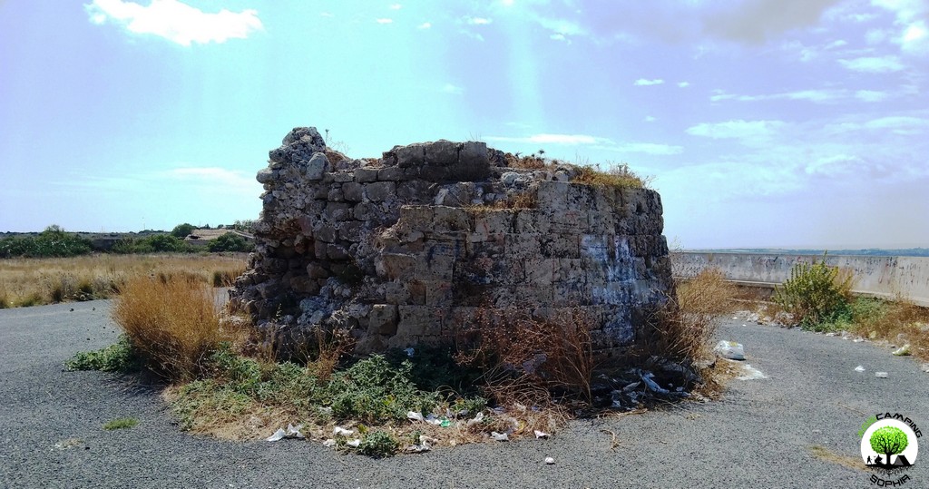 fossili-torre-fano-agricamping-sophia.jpg