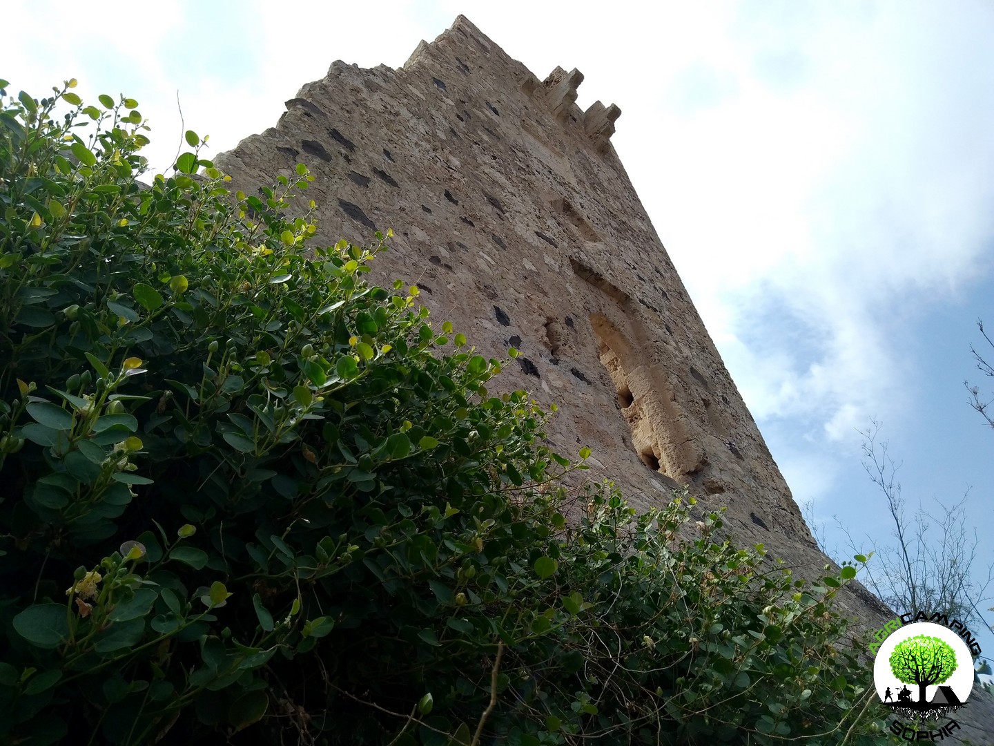 torre-scibini-xibini-pachino-capperi.jpg