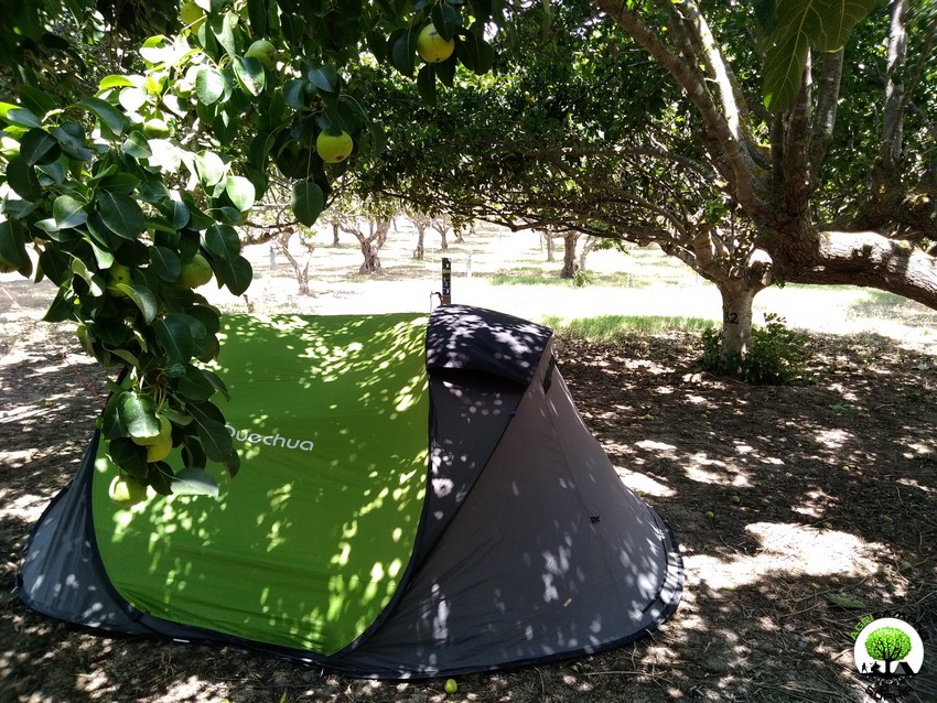 camping-tenda-6